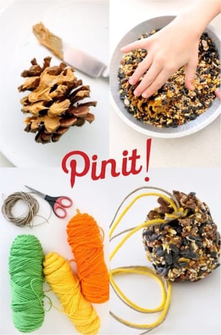 PIne_Cone_Pin_It.jpg