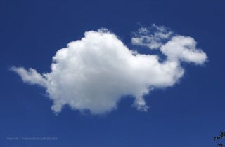 dragon_Cloud.jpg