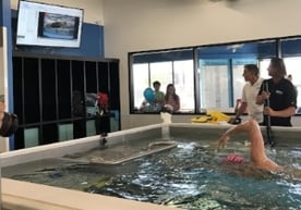 MissyFranklin-SwimLabs-ISwimBecause.jpg