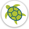 Turtle-2