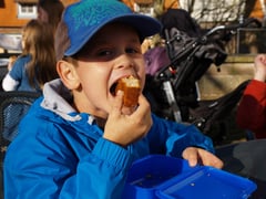 boy-286375_960_720.jpg boy-286375_960_720.jpg