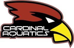 Cardinal Aquatics logo_outlined_YELLOW-1