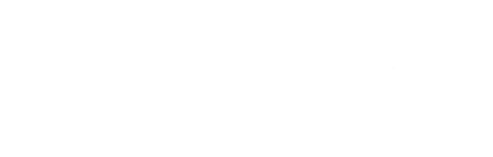 SS.Logo.White